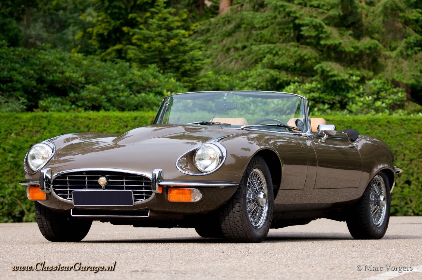 Jaguar e-Type v12